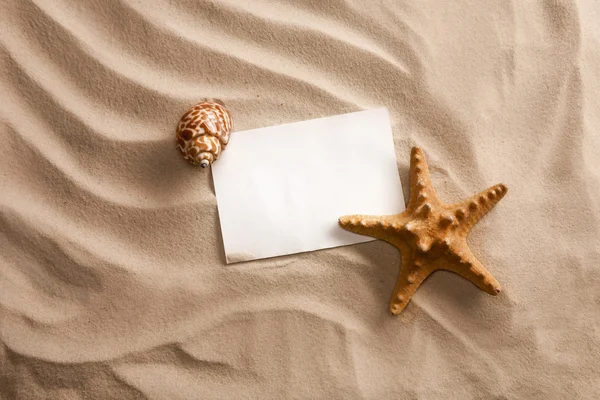 Conchas do mar com areia — Fotografia de Stock