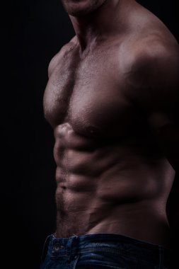 musculed modeli