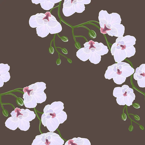 Seamless wallpaper with orchid flowers — Stock Photo, Image