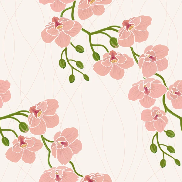 Seamless wallpaper with orchid flowers — Stock Photo, Image