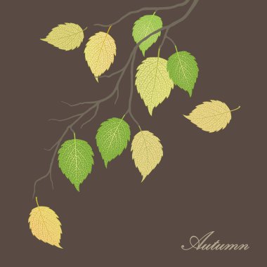 sonbaharın güzel illüstrasyon ağacının yaprakları