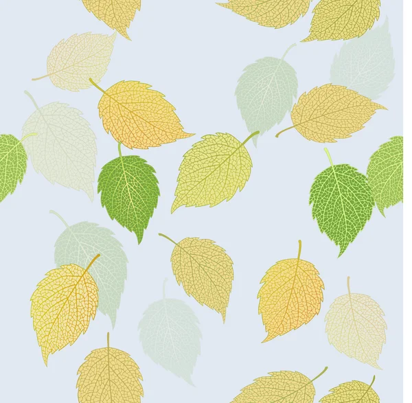 Green and yellow autumn leaves — Stock Photo, Image