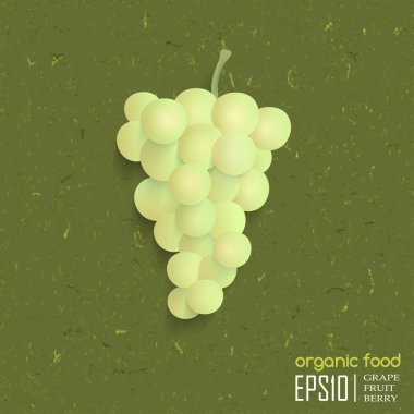 gerçekçi vektör illüstrasyon izole üzüm.