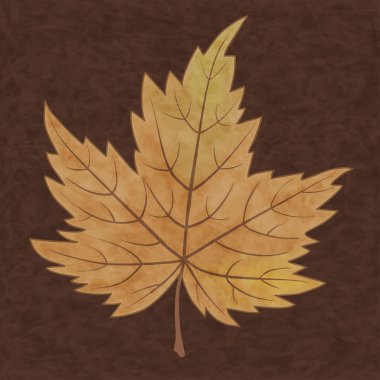 güzel ve sonbahar yaprak vektör zarif