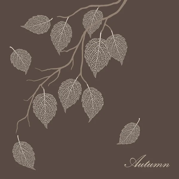 在树枝上的透明秋叶之静美 — 图库矢量图片