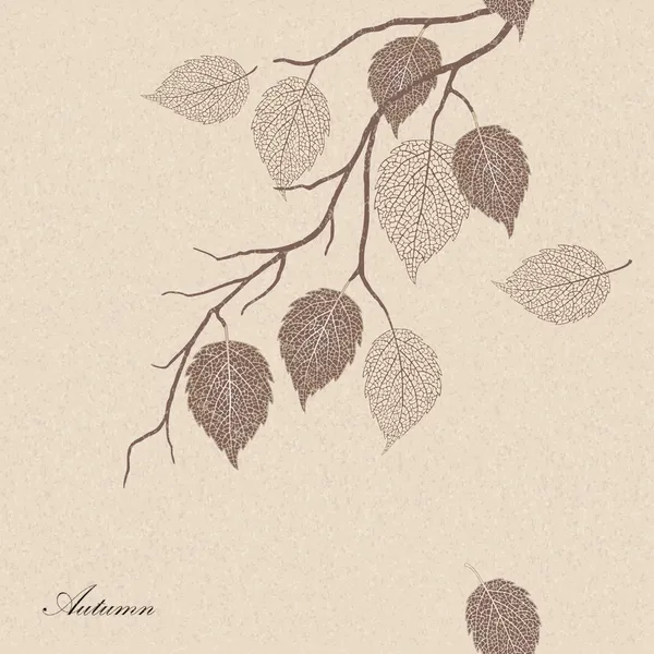 Illustration av höstlöv på en trädgren — Stock vektor