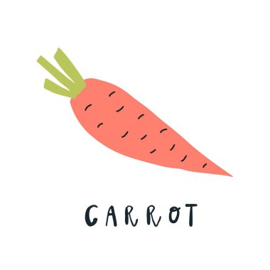 Vektör sadeleştirilmiş havuç çizimi, el yazısı kelime