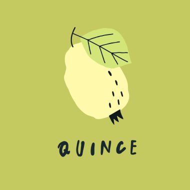 Vektör sadeleştirilmiş quince çizimi, el yazısı kelime