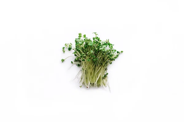 Fresco cortado brócolis micro verde isolado no fundo branco — Fotografia de Stock