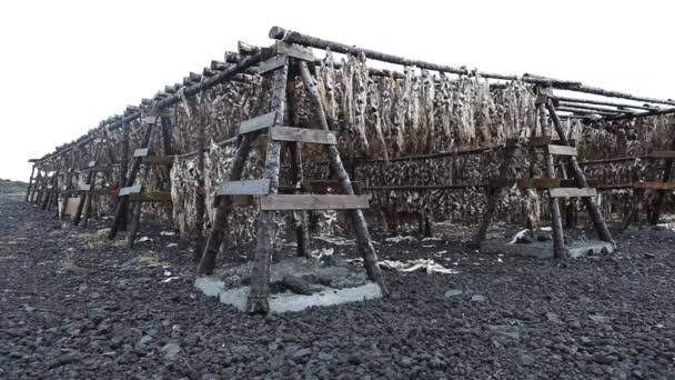 Râteliers de séchage Fish Head, Islande — Video