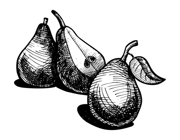 Illustratie voor pear — Stockvector