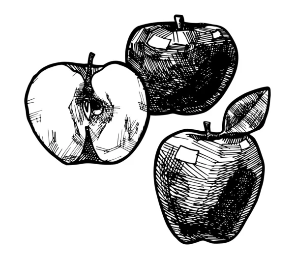 Manzanas — Archivo Imágenes Vectoriales