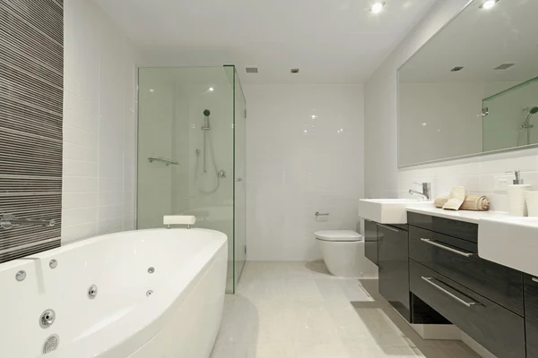 Stylish new twin bathroom. — Stock Photo, Image