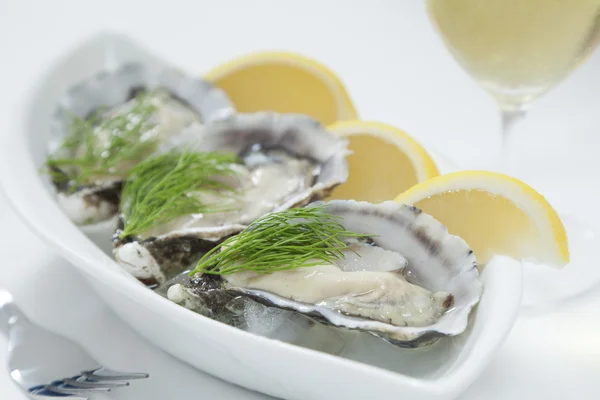 Fresh oysters — Stock Photo, Image