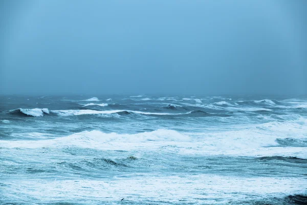 Oceano tempestuoso — Fotografia de Stock