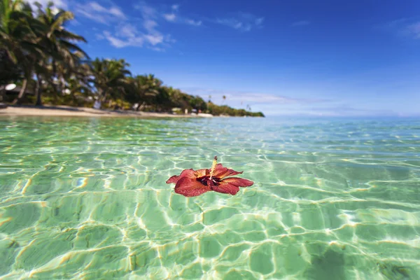 Ilha tropical — Fotografia de Stock