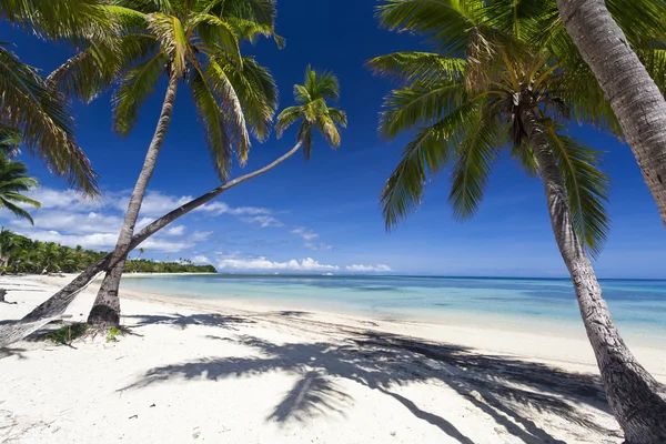 Paraíso tropical — Fotografia de Stock