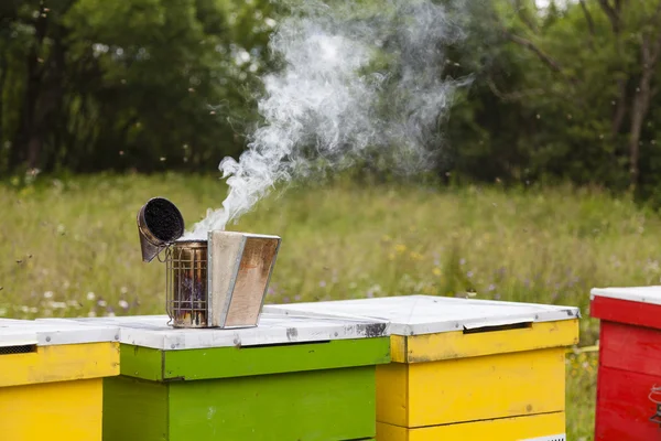 Fumador de abelhas — Fotografia de Stock