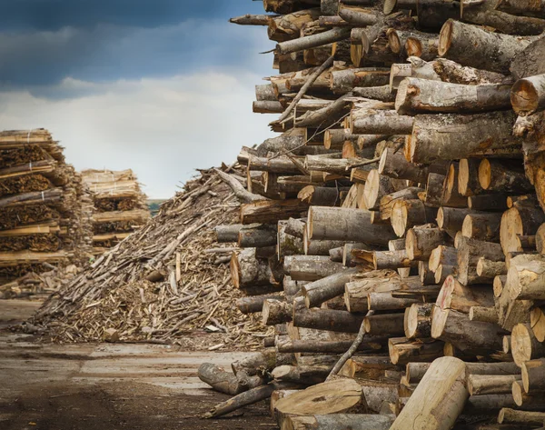 Průmyslové dřevo — Stock fotografie
