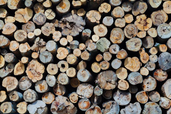 Industrial Timber — Stock Photo, Image