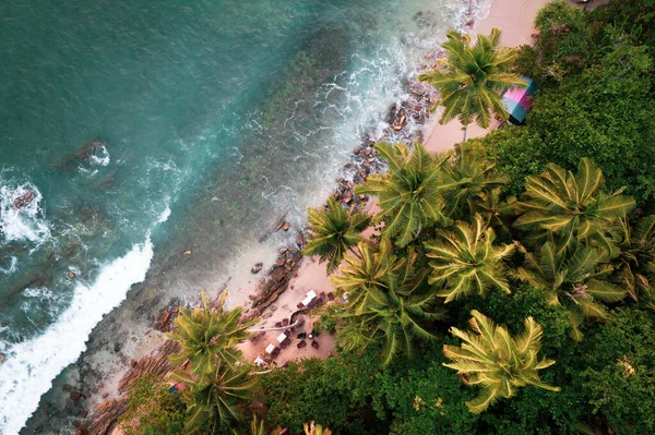 Ambiente Tropical Beira Mar Com Água Azul Turquesa Coqueiros — Fotografia de Stock