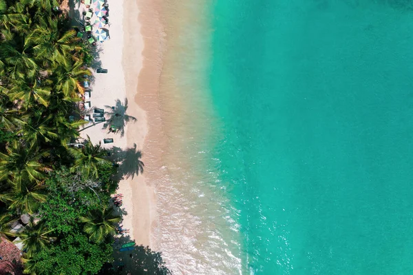 Tropikalne Otoczenie Przy Plaży Turkusową Wodą Drzewami Kokosowymi — Zdjęcie stockowe