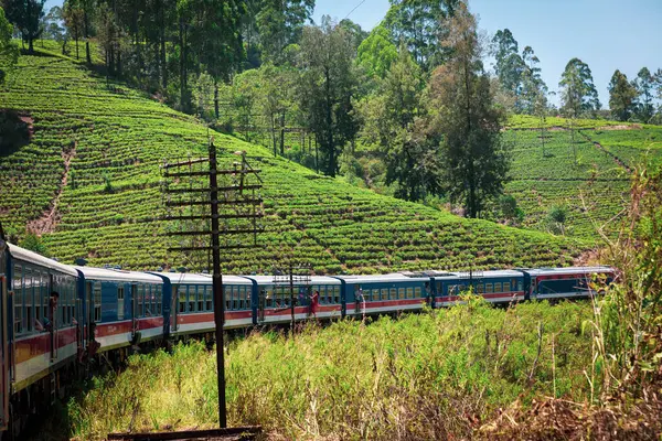 Train Ride Lush Hills Sri Lanka — Stock Photo, Image