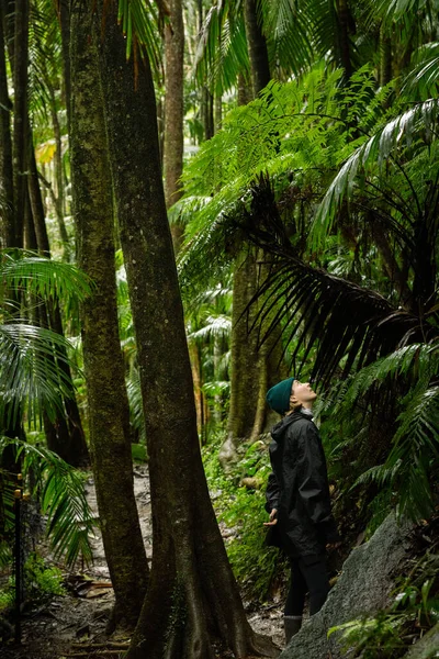 Mulher Admirando Exuberante Floresta Tropical Parque Nacional Tamborine Queensland Austrália — Fotografia de Stock