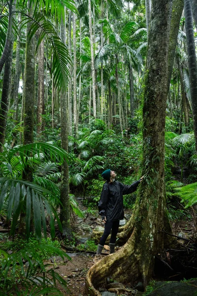 Kobieta Podziwiająca Bujny Las Deszczowy Parku Narodowym Tamborine Queensland Australia — Zdjęcie stockowe