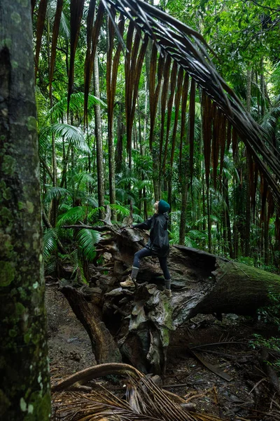Γυναίκα Θαυμάζοντας Καταπράσινο Τροπικό Δάσος Στο Εθνικό Πάρκο Tamborine Queensland — Φωτογραφία Αρχείου
