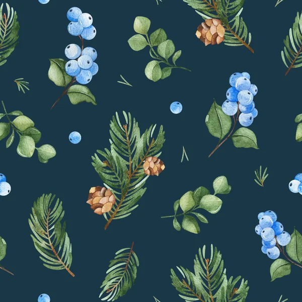 Akvarel Bezešvné Textury Zimní Ilustrace Pozadí Smrkovou Větví Pinekonem Bobulemi — Stock fotografie