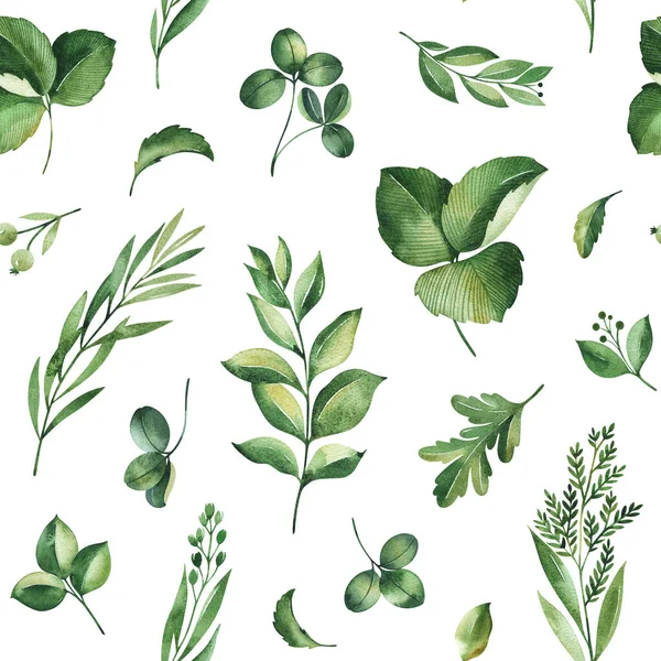 Ακουαρέλα Ζωγραφισμένη Στο Χέρι Απεικόνιση Πράσινων Φύλλων Και Κλαδιών Φύλλα — Φωτογραφία Αρχείου