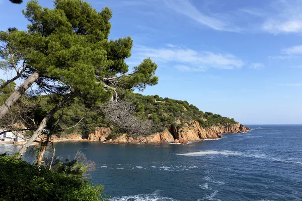 Bay of Tamariu - Costa Brava in Catalonia Spain — Stock Photo, Image