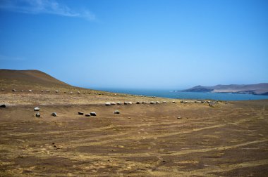 Reserva Ulusal de paracas ICA, peru, Güney Amerika'da Milli Parkı