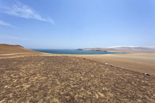 Reserva nationella de paracas en nationalpark i ica, peru, Sydamerika — Stockfoto