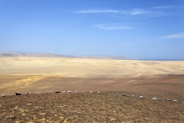 Baie - Reserva National de Paracas en Ica, Pérou — Photo