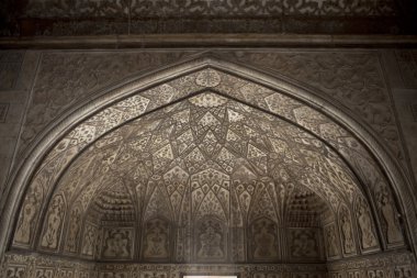 çiçek ile zengin bir detay fort agra - uttar pradesh - Hindistan dekore edilmiştir.