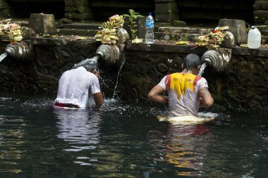 Bali dili hindu almak Bali - Endonezya tirta empul tapınağında kutsal banyo