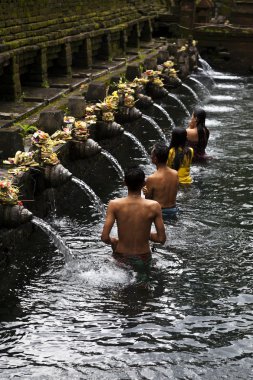 Bali dili hindu almak Bali - Endonezya tirta empul tapınağında kutsal banyo