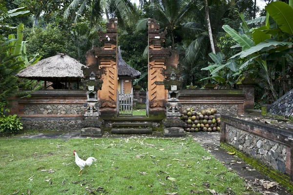 Zemědělská usedlost v balijském stylu v Bali: aktivity a místa, Asie — Stock fotografie