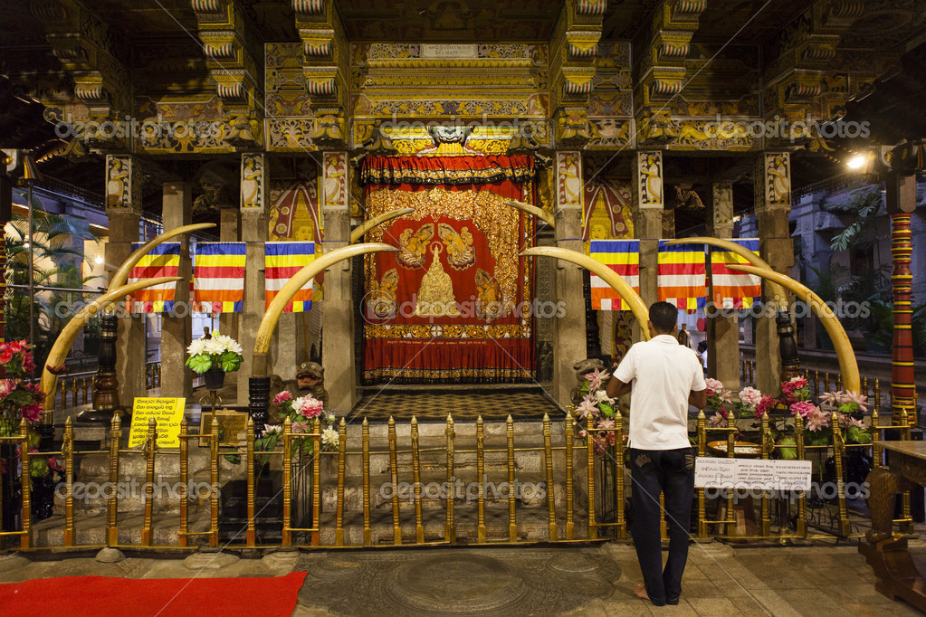 Resultado de imagem para templo do dente sri lanka