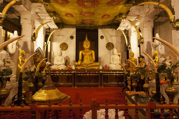 Interior del Templo de la Reliquia del Diente Sagrado (Sri Dalada Maligwa) en el centro de Sri Lanka, Asia —  Fotos de Stock
