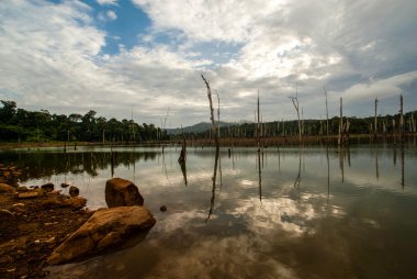 Brokopondo stuwmeer reservoir in Suriname - South America clipart