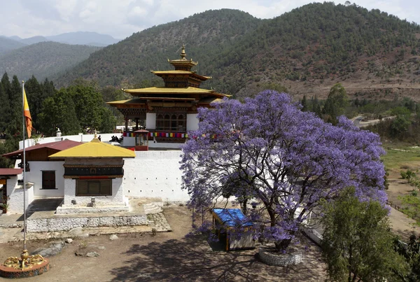 Belül ama Dablam dzong ama Dablam, központi Bhután, Ázsia — Stock Fotó