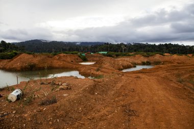 wittikreek altın alan Surinam, Güney Amerika