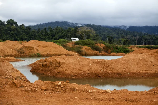 Campo de oro Wittikreek en Surinam, América del Sur — Foto de Stock