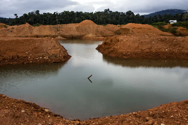 Wittikreek золото поля у Сурінамі, Південна Америка — стокове фото