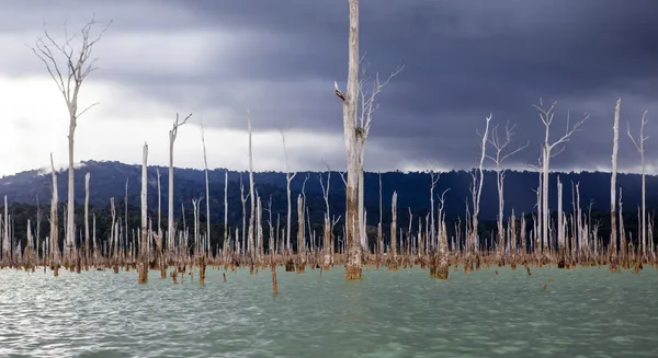 Reservoir brokopondomeer in de jungle van suriname, Zuid-Amerika — Stockfoto