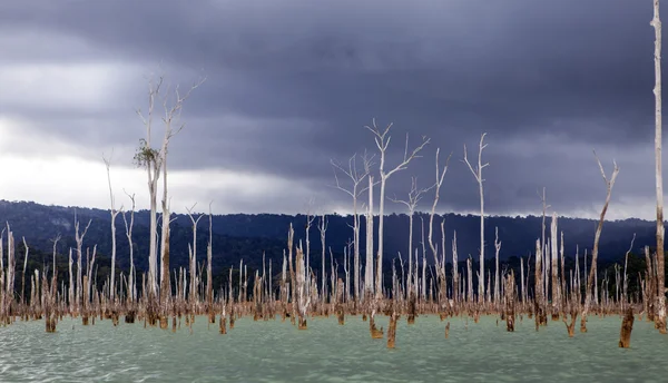 Reservoir brokopondomeer in de jungle van suriname, Zuid-Amerika — Stockfoto