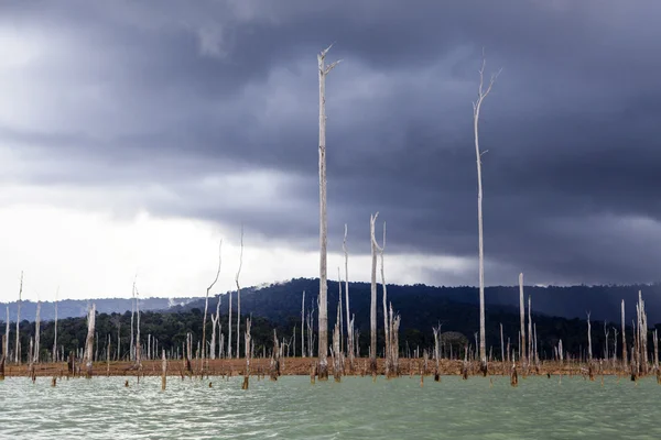 Embalse Brokopondomeer en la selva de Surinam, América del Sur — Foto de Stock